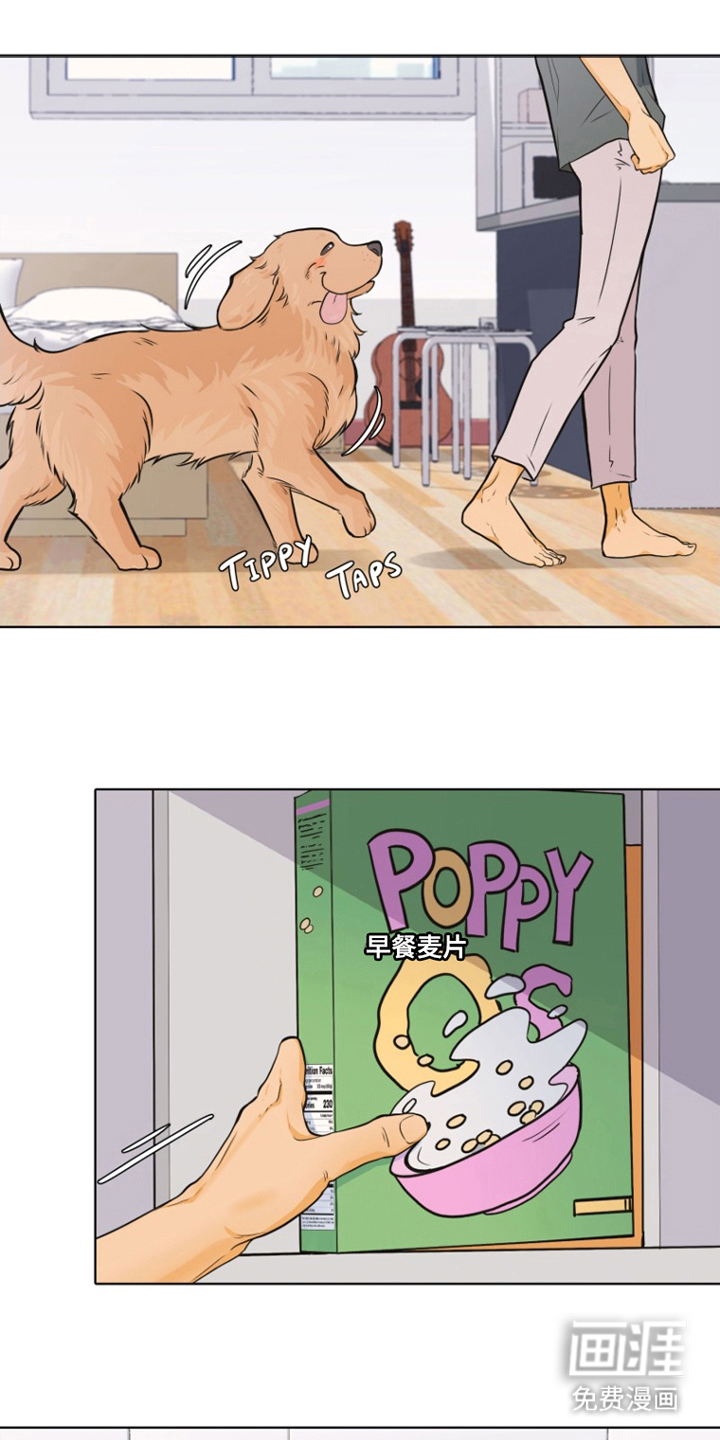 辛巴奇缘第8话图