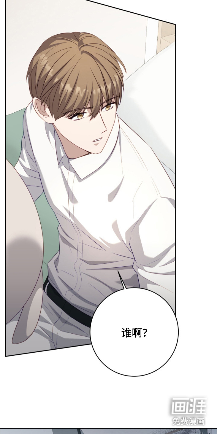 向导迷途漫画-图1