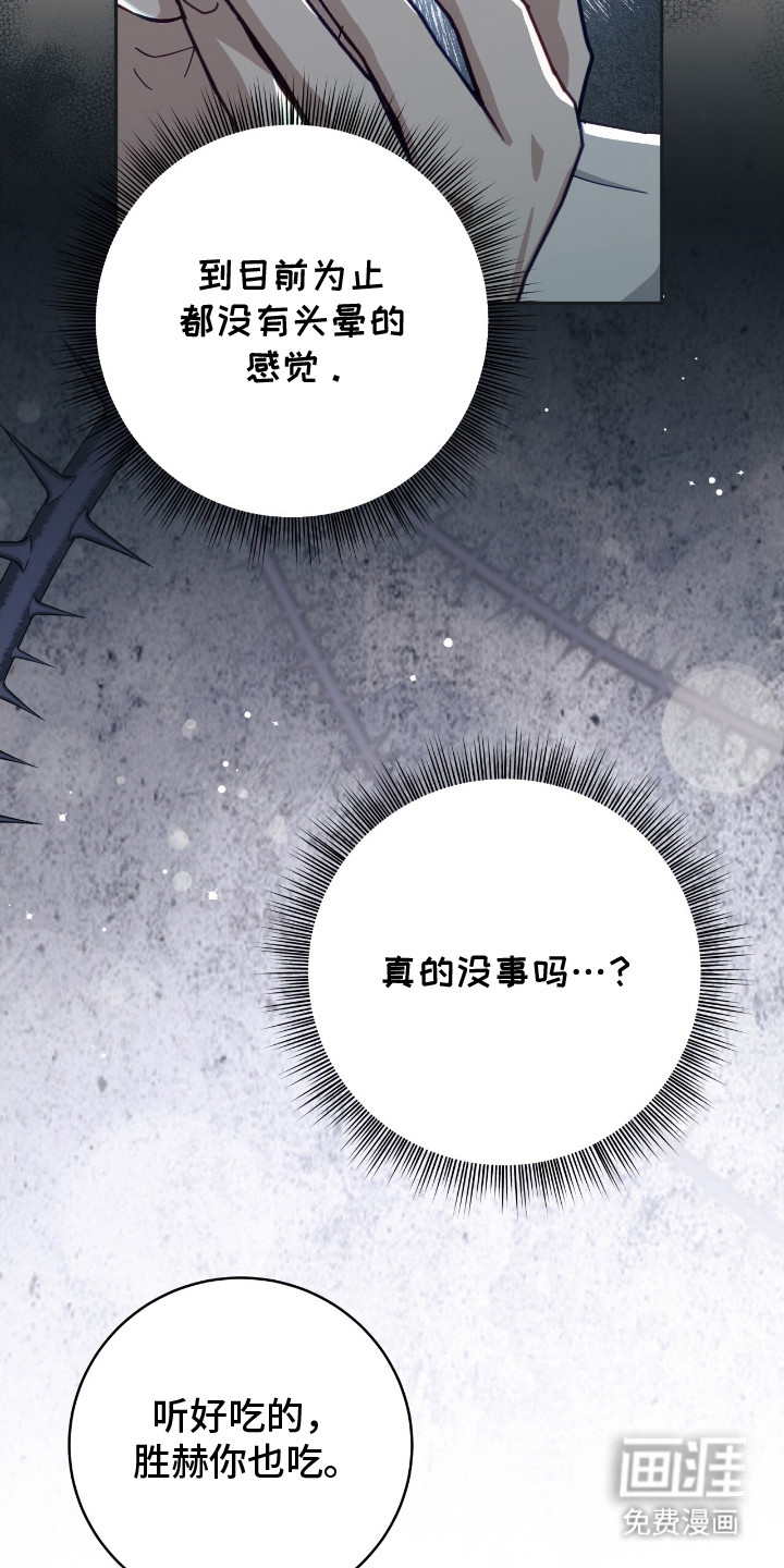 向导迷途漫画-图13