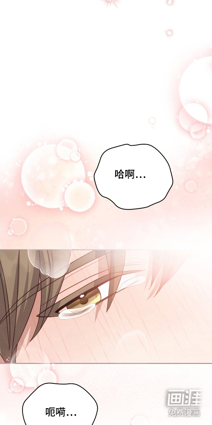 向导迷途漫画-图19