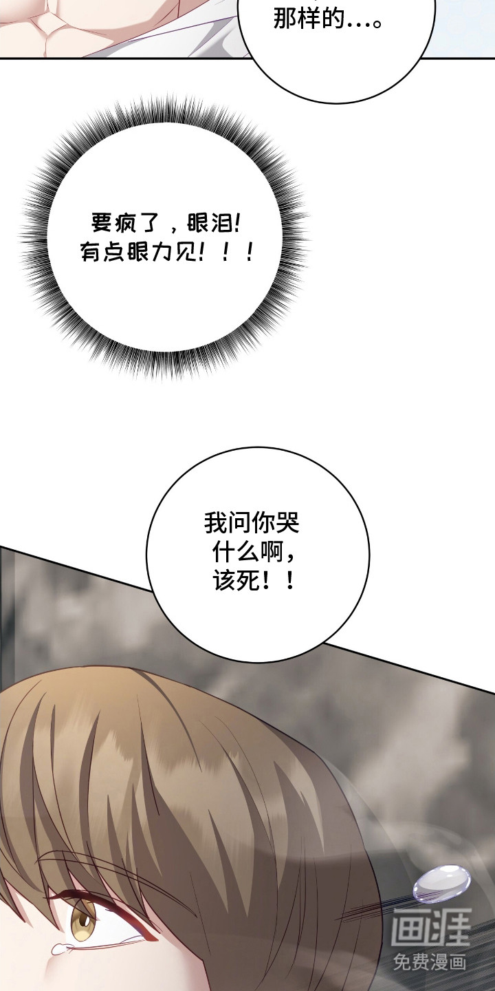 向导迷途漫画-图7