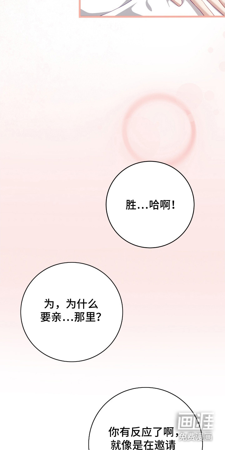 向导迷途漫画-图24