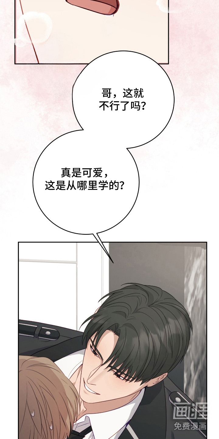 向导迷途漫画-图7