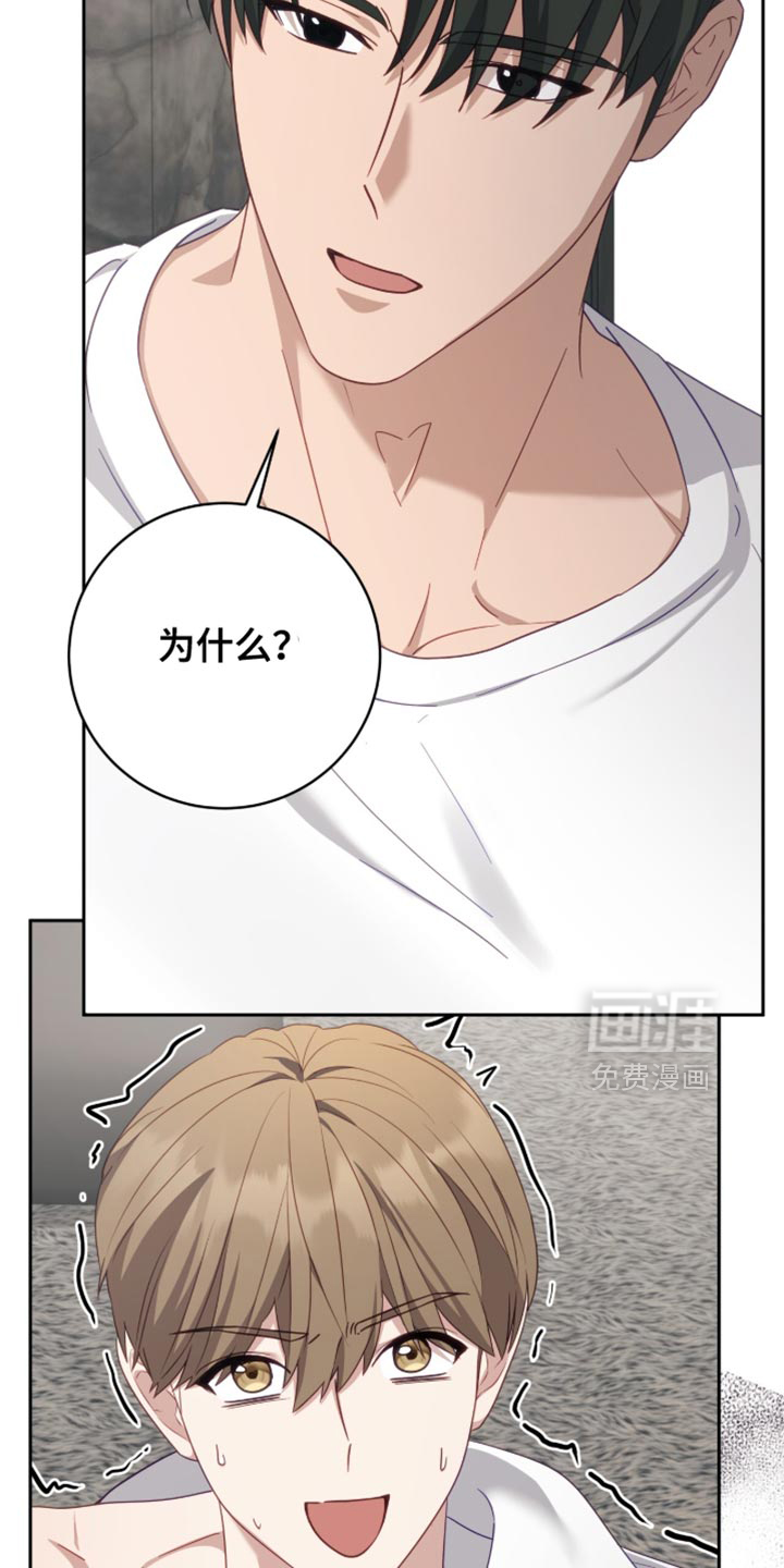 向导迷途漫画-图11