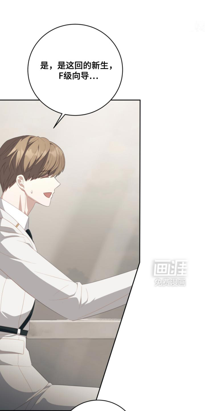 向导迷途漫画-图0