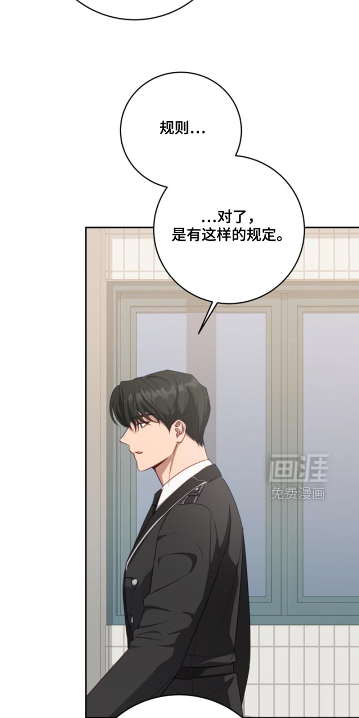 向导迷途漫画-图27
