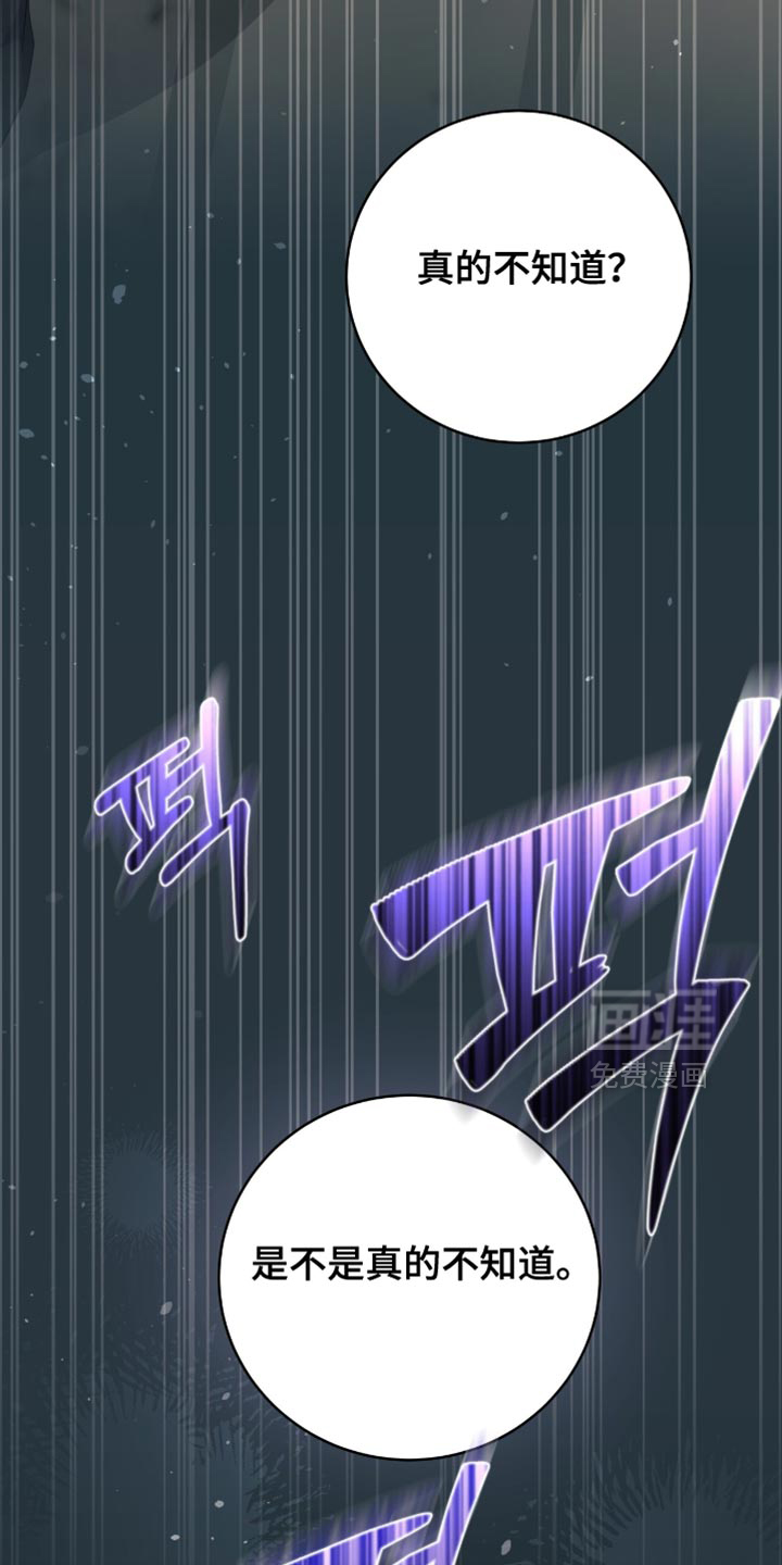 向导迷途漫画-图15