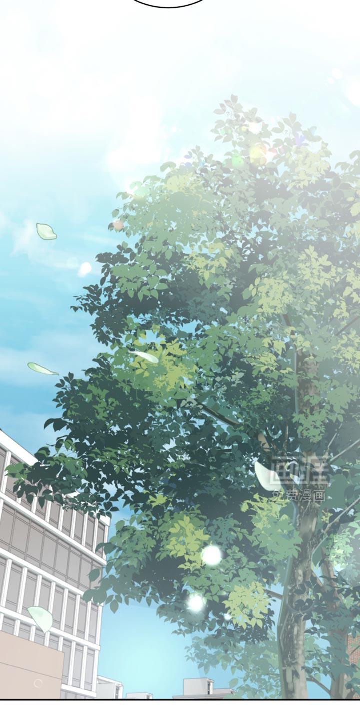 向导迷途漫画-图18