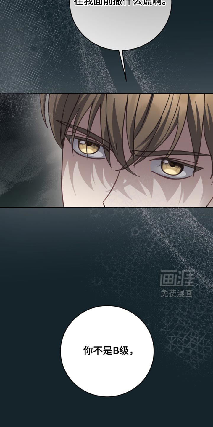 向导迷途漫画-图37