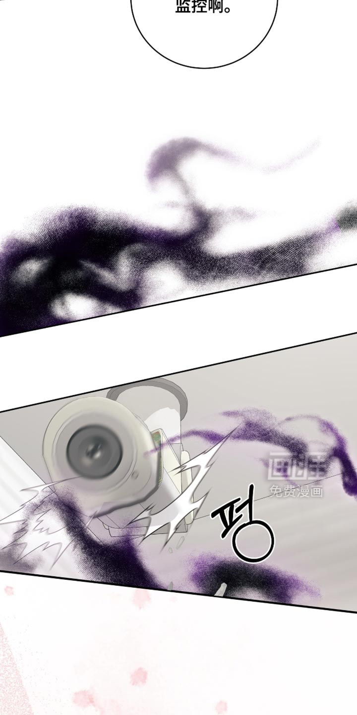 向导迷途漫画-图38