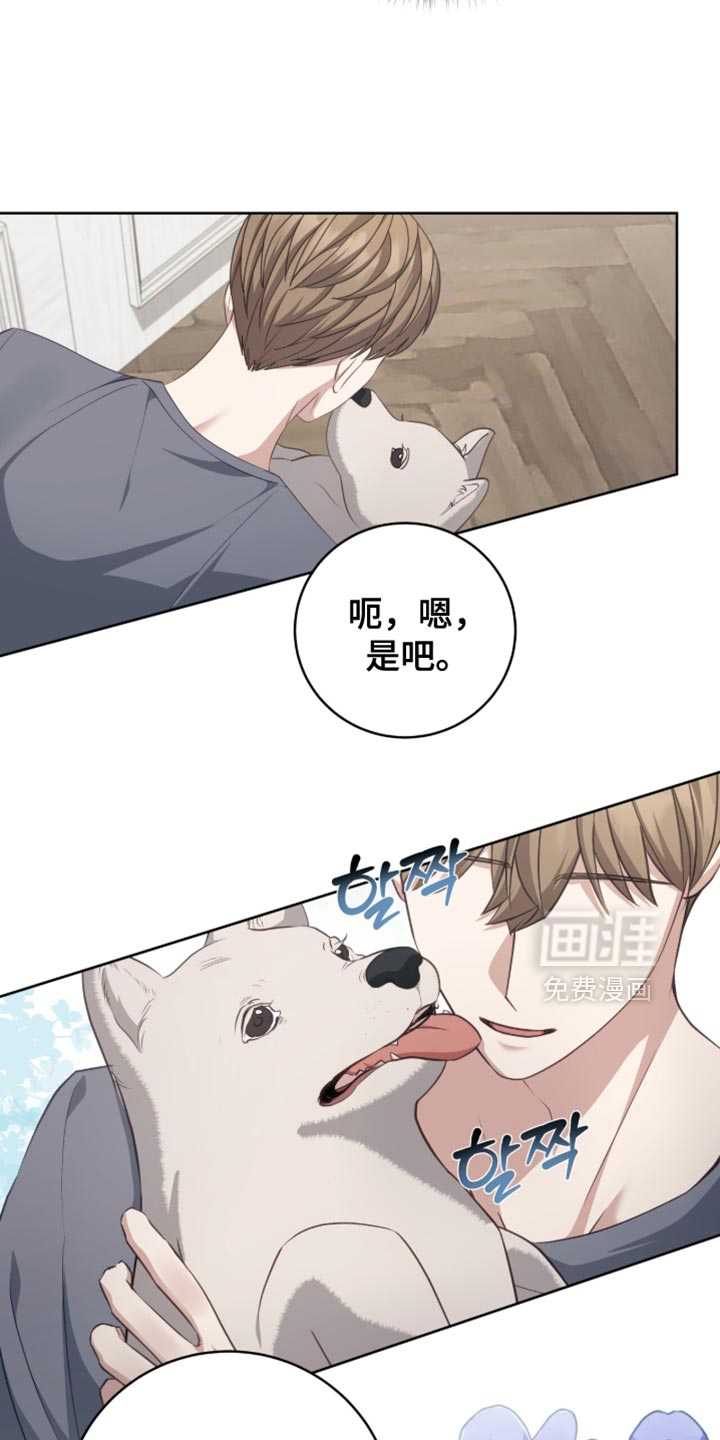 向导迷途漫画-图5