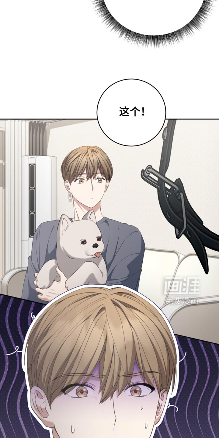 向导迷途漫画-图16