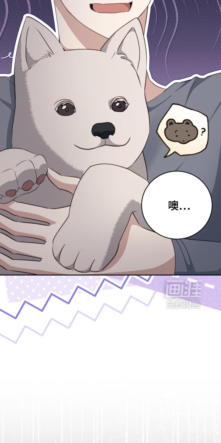 向导迷途漫画-图17