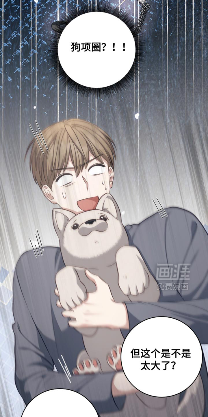 向导迷途漫画-图19