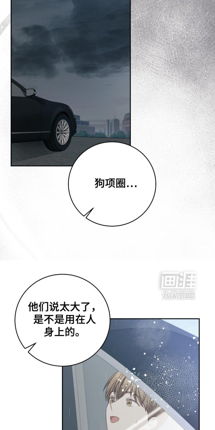 向导迷途漫画-图29