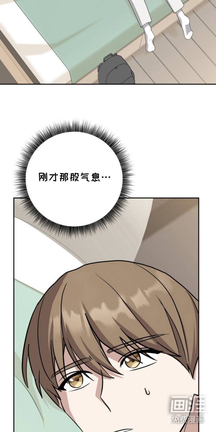 向导迷途漫画-图21