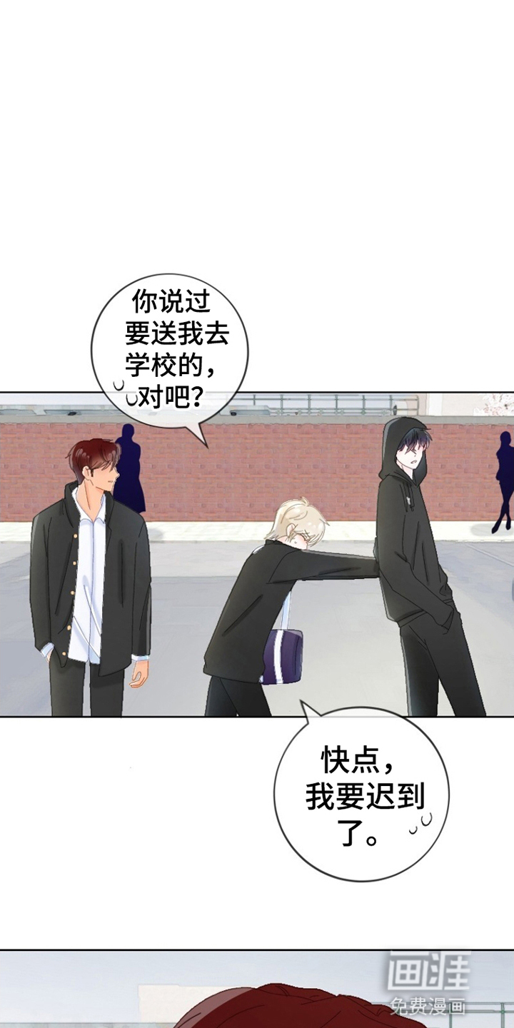 星坠于他漫画-图11