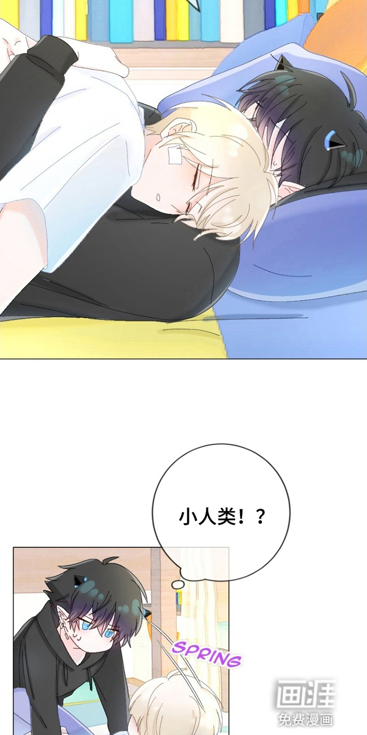 星坠于他漫画-图11