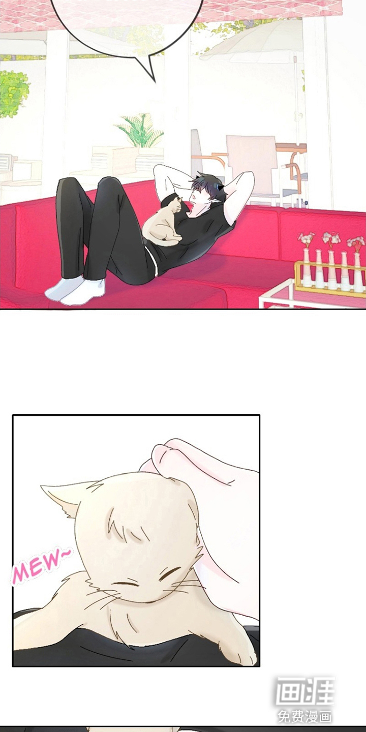 星坠于他漫画-图14