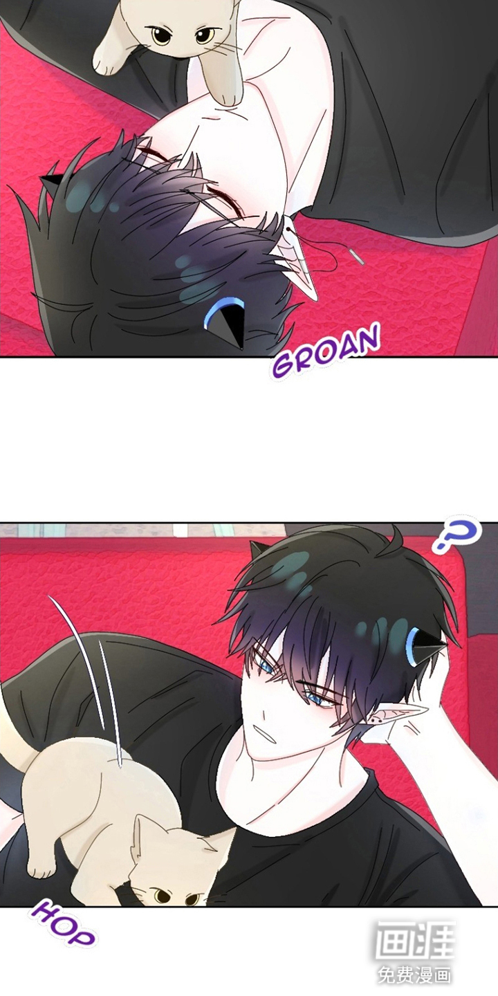 星坠于他漫画-图15