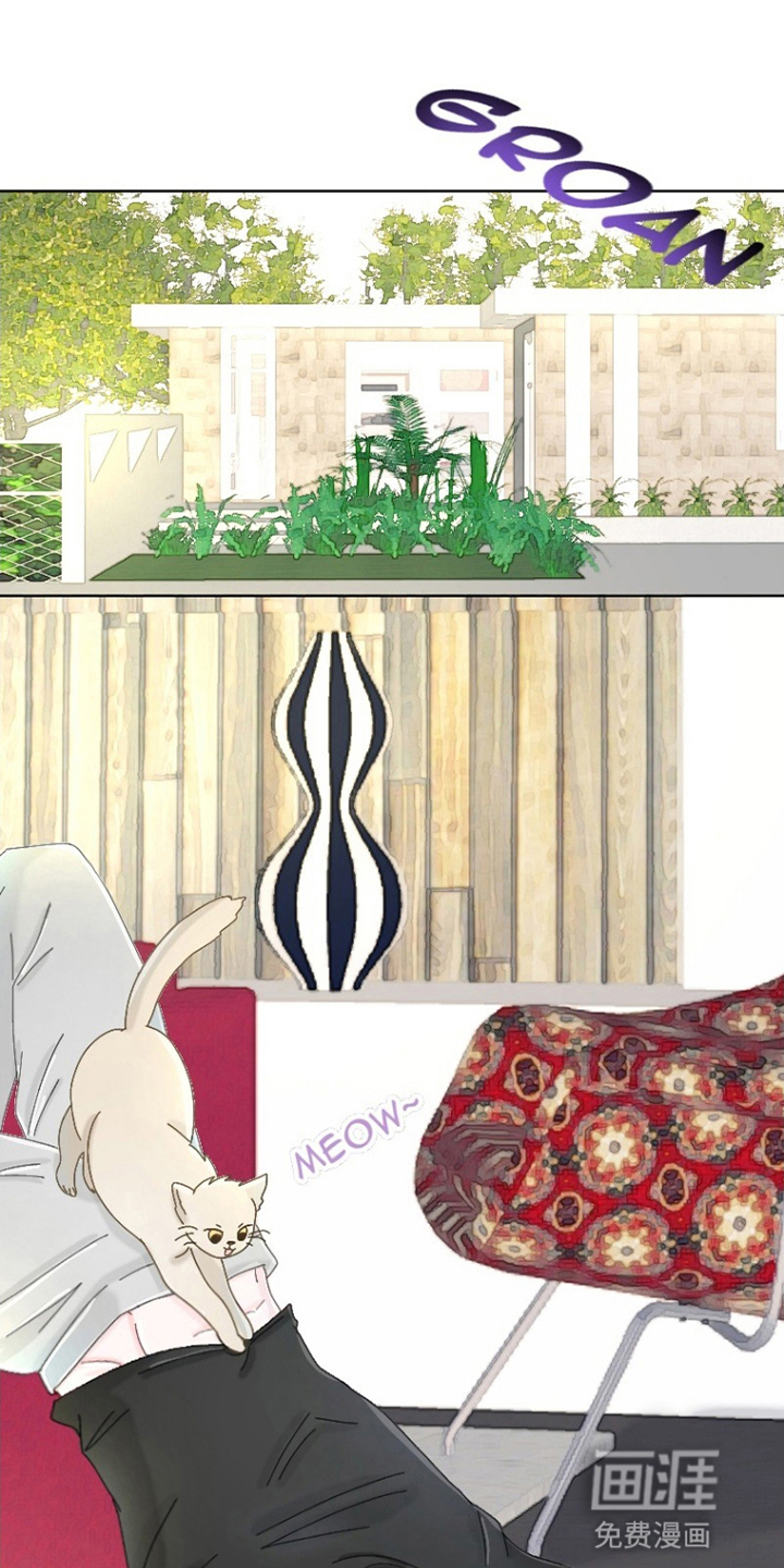 星坠于他第6话图