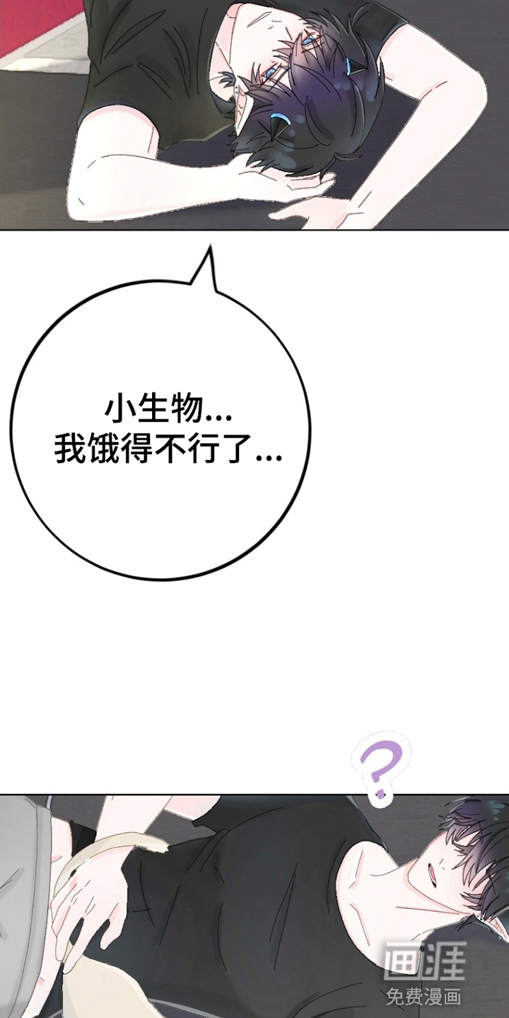 星坠于他第6话图