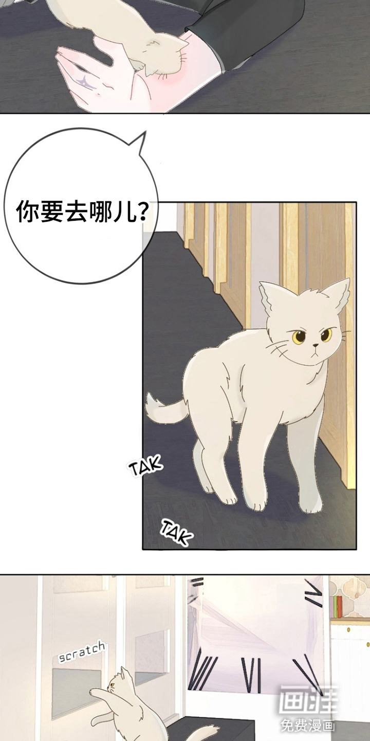 星坠于他第6话图