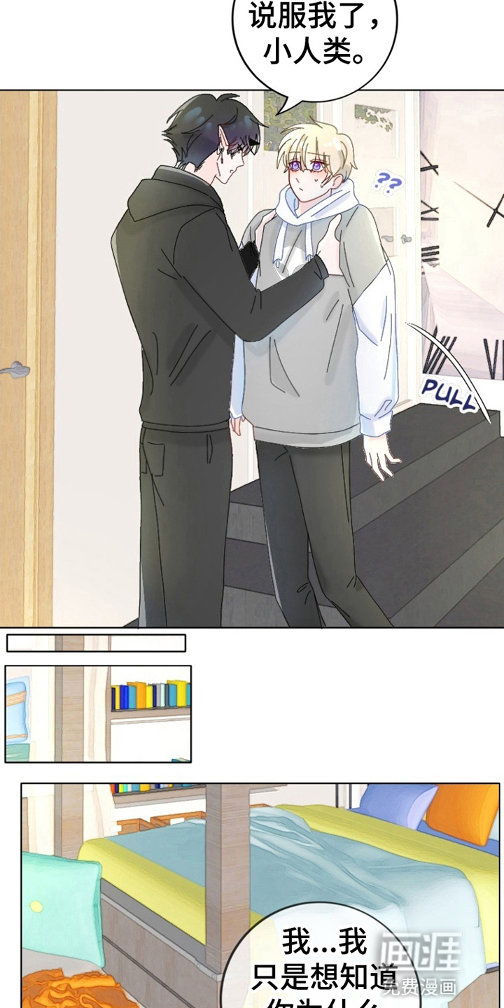 星坠于他漫画-图13