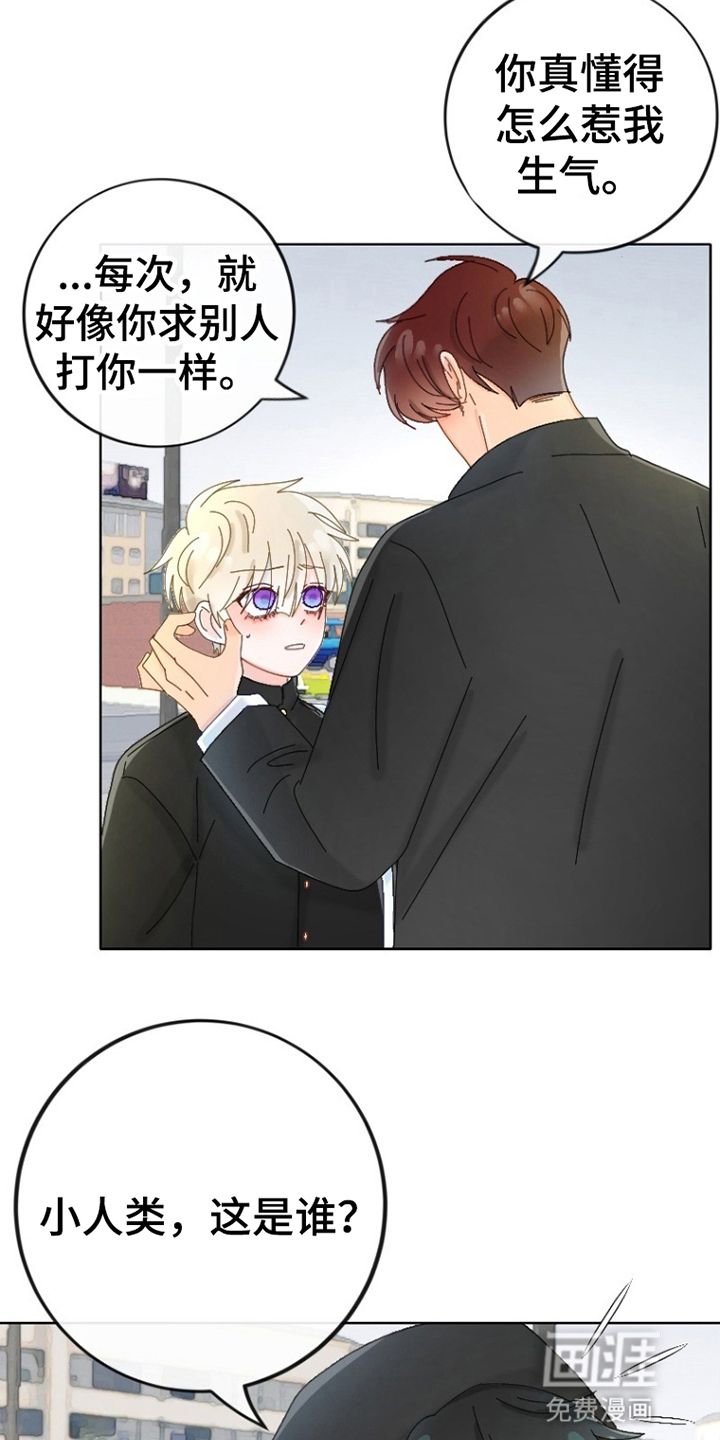 星坠于他漫画-图15