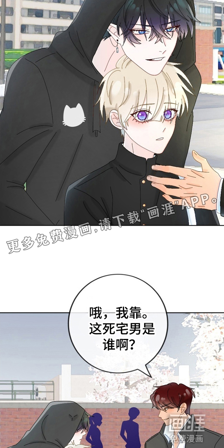 星坠于他漫画-图16