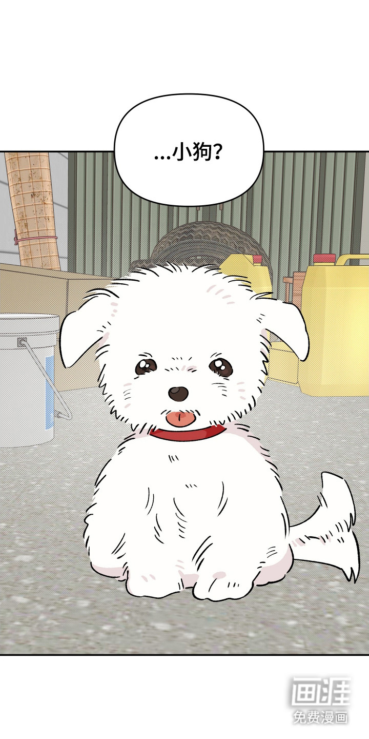 学渣改造日志第23话图