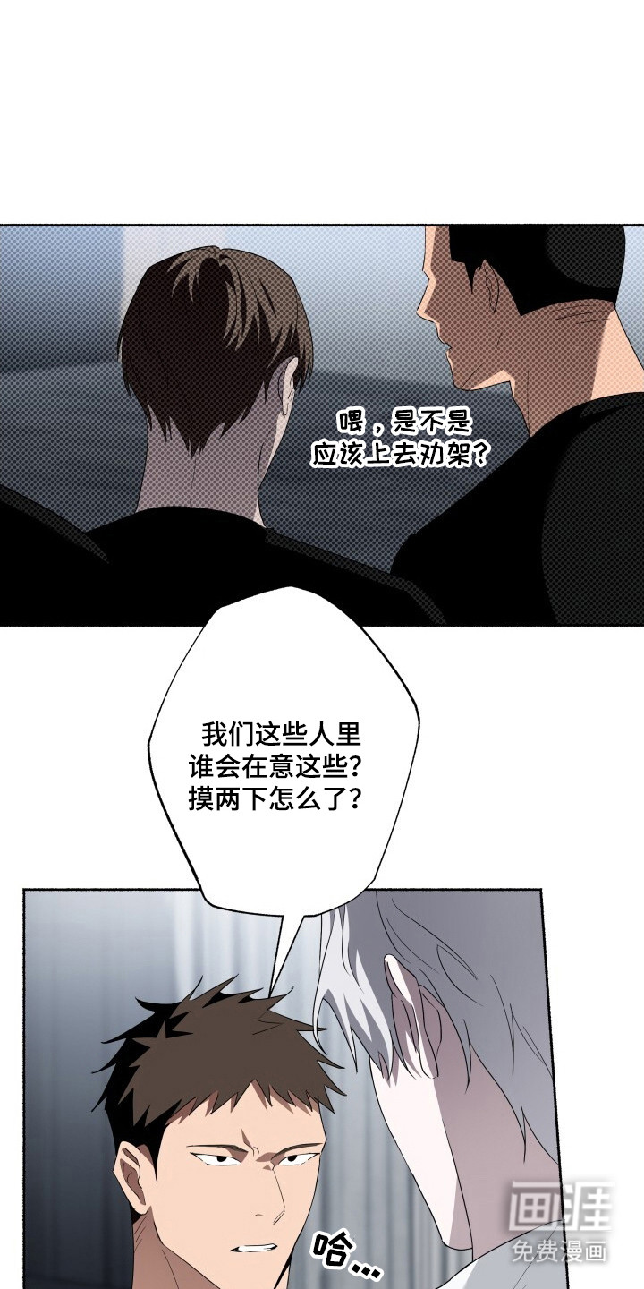 心跳共鸣第14话图