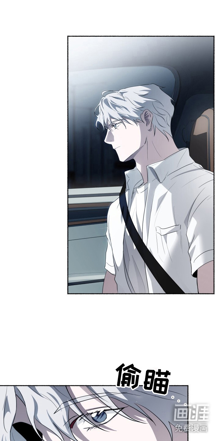 心跳共鸣第19话图