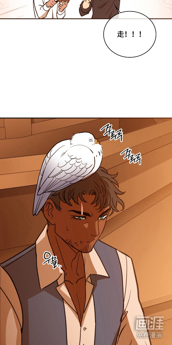 血冕之狮第12话图