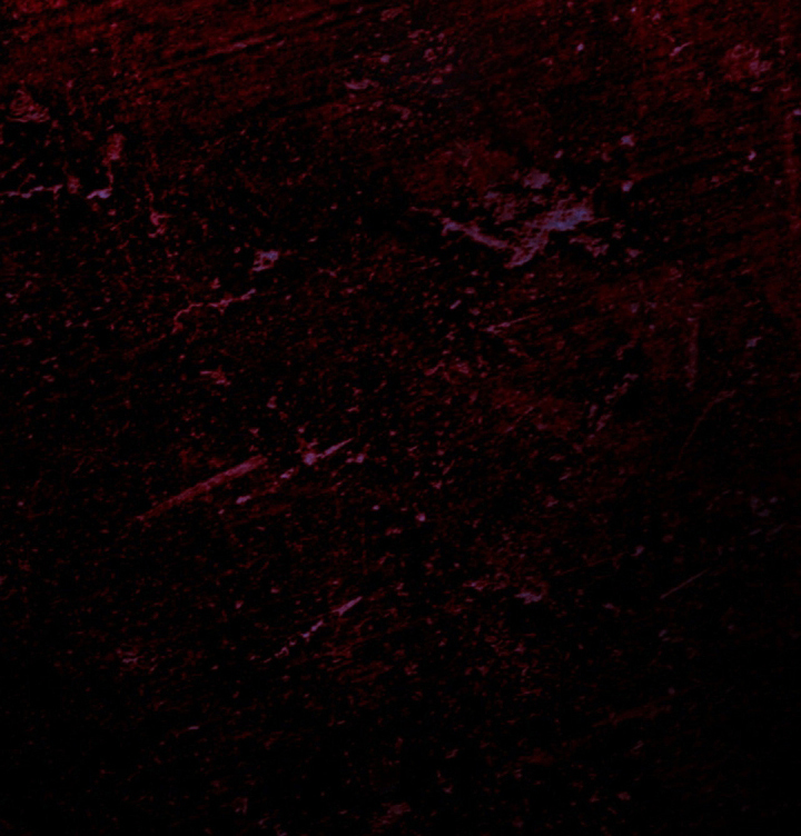 血冕之狮第4话图