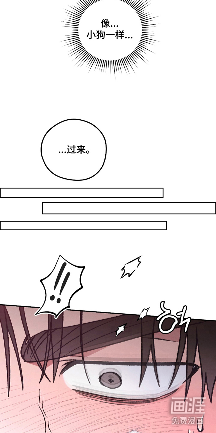 驯犬人法则第10话图