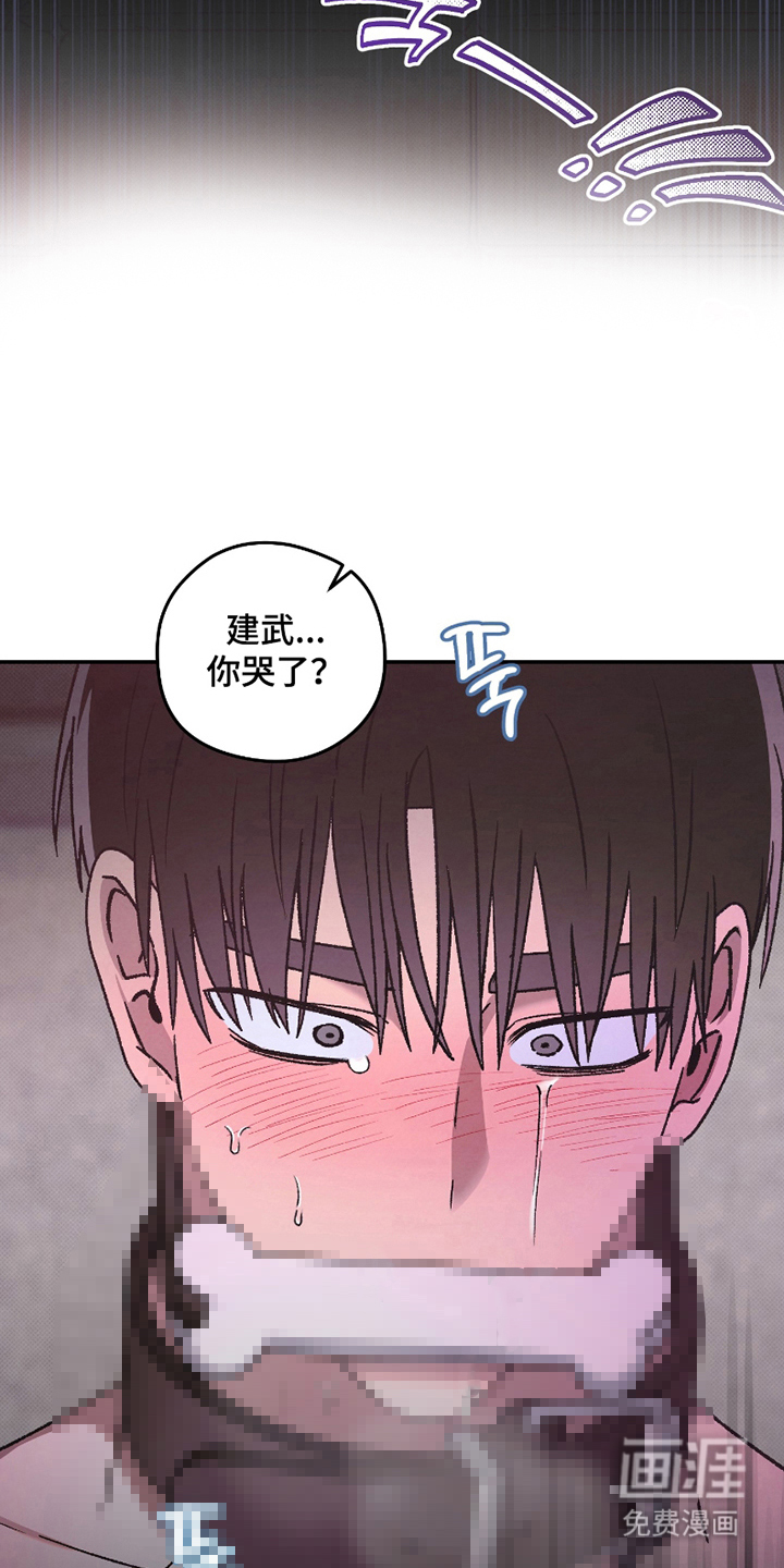 驯犬人法则第10话图