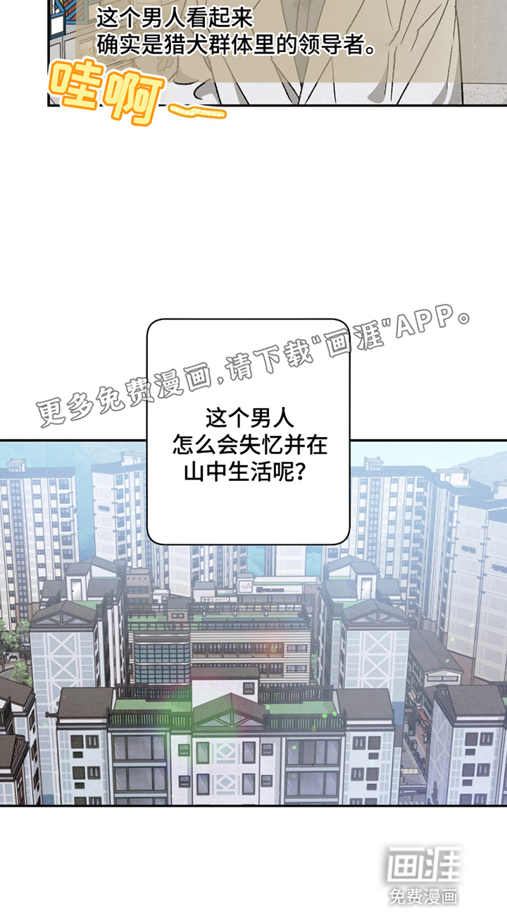 驯犬人法则第2话图