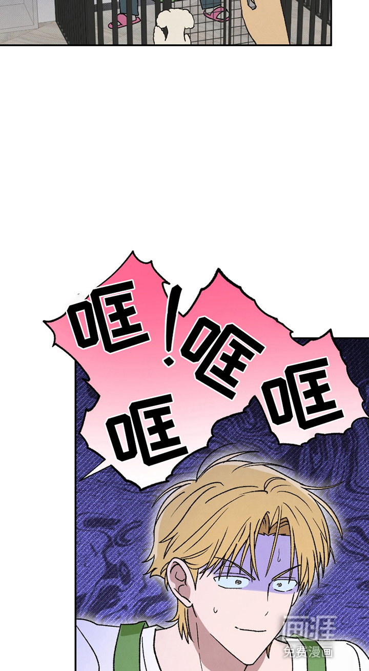 驯犬人法则第2话图