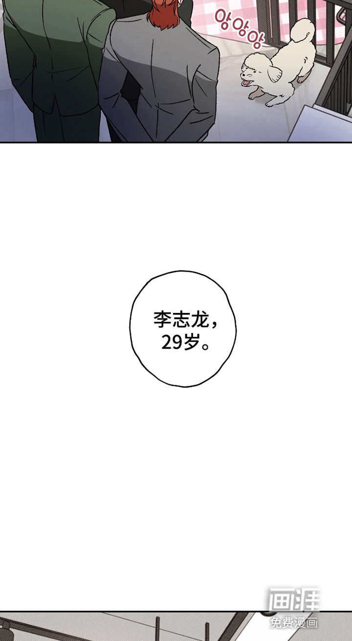 驯犬人法则第2话图