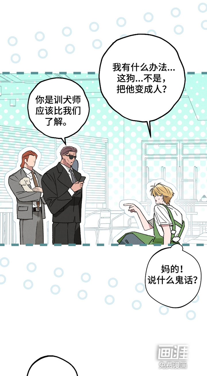 驯犬人法则第3话图