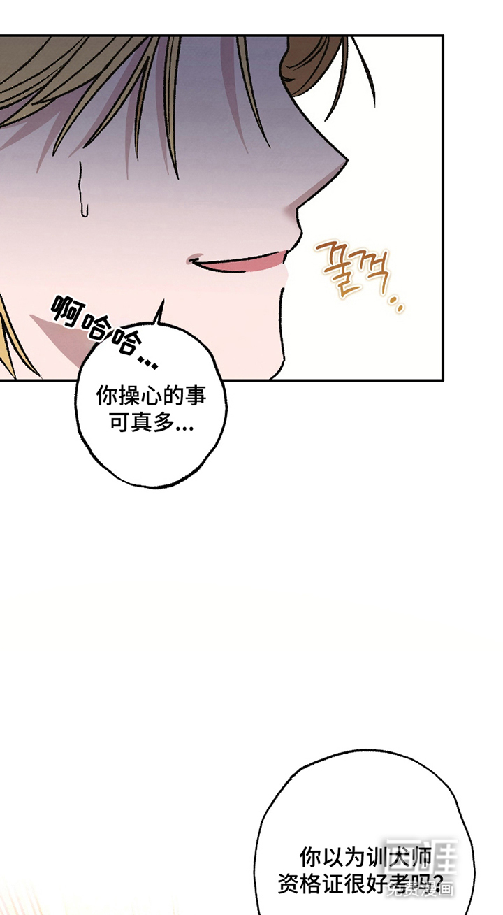 驯犬人法则第3话图