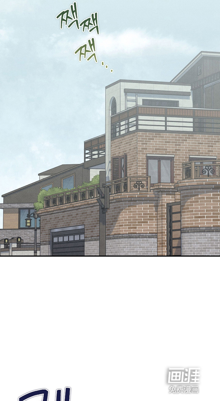 驯犬人法则第6话图