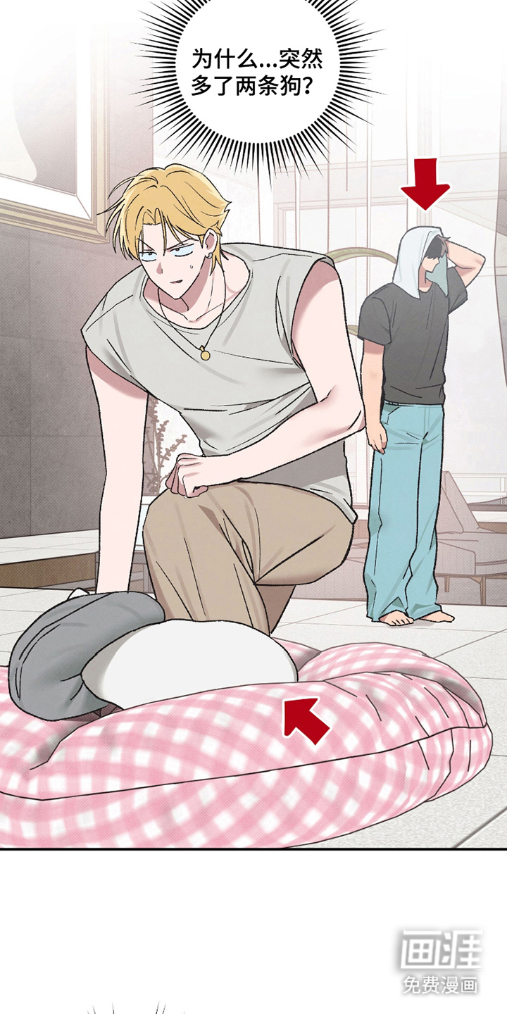 驯犬人法则第8话图