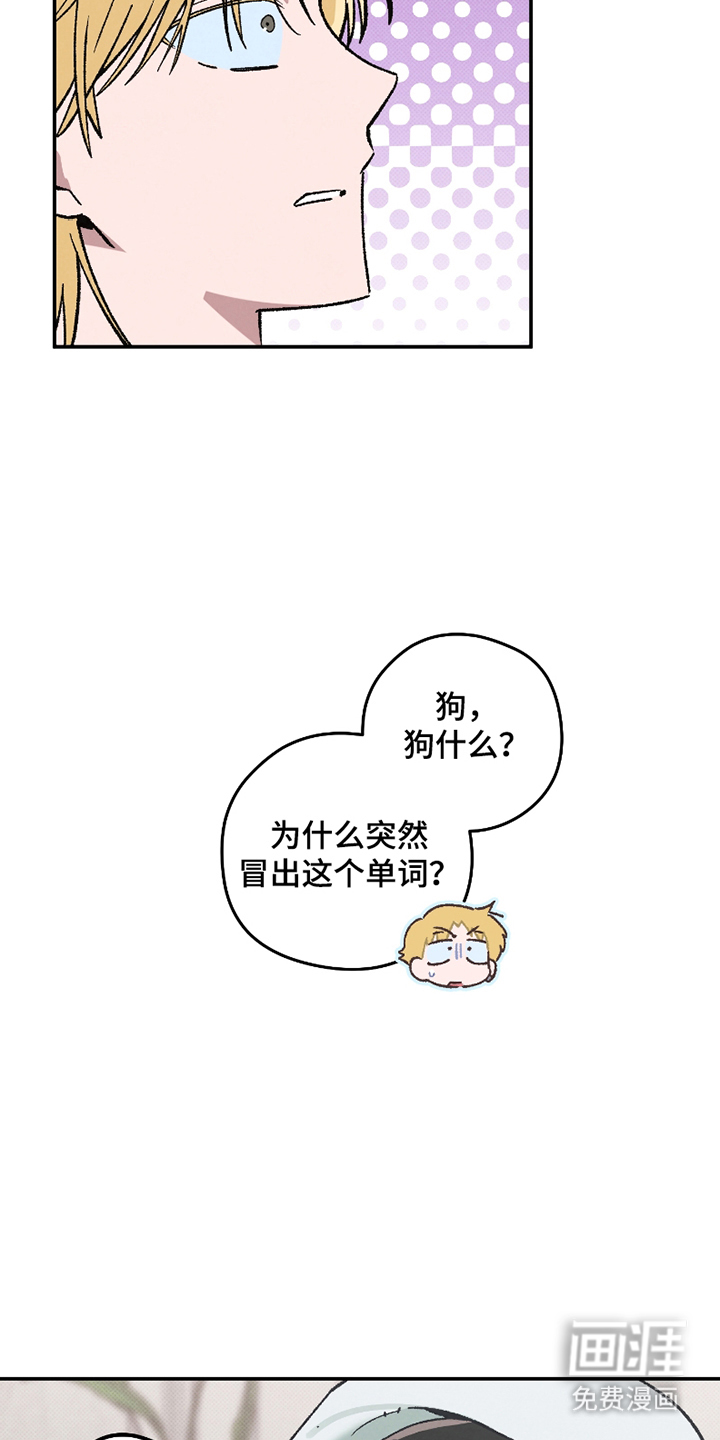 驯犬人法则第8话图