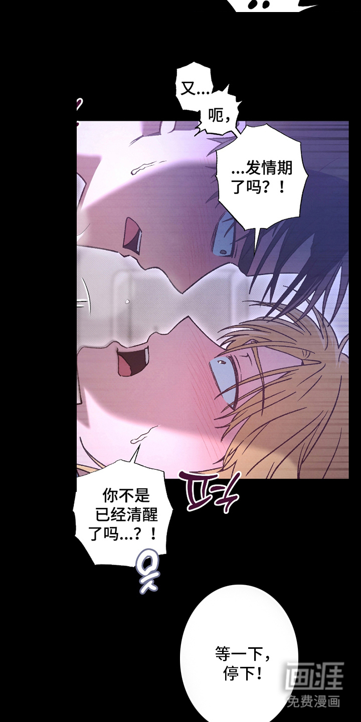 驯犬人法则第9话图