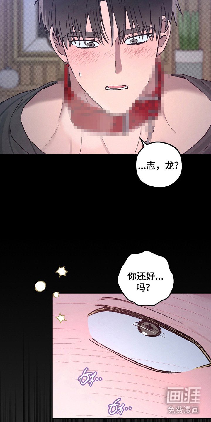 驯犬人法则第9话图