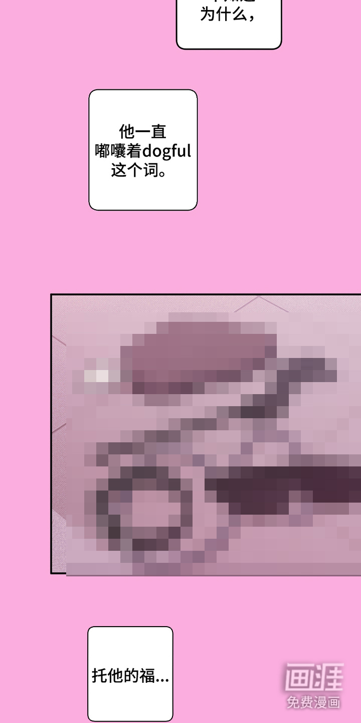 驯犬人法则第9话图