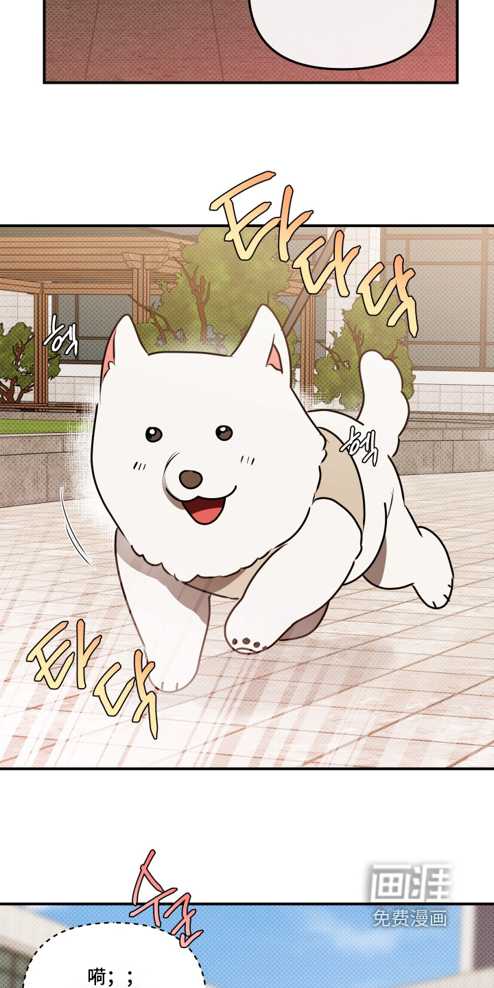 心动与误会第21话图