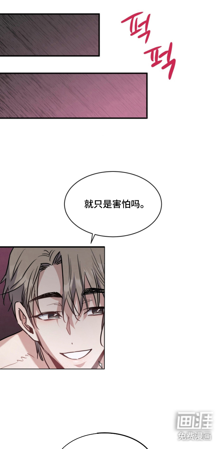 星光与谎言第14话图